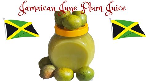 Jamaican June Plum Juice Healthy And Refreshing How To Make June Plum