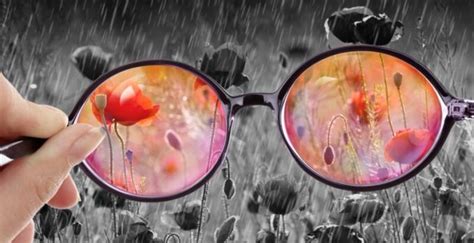 Rose Tinted Glasses — Charlton Life