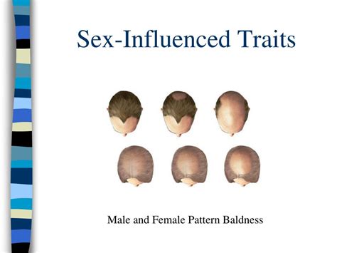 ppt sex influenced traits powerpoint presentation free download id 3120168