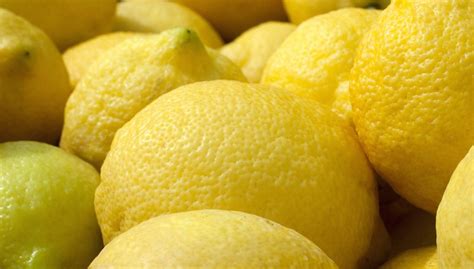 Lemon from Syracuse, scent of Sicily | Italian Food Excellence