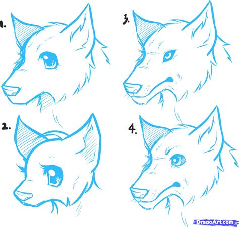 570x320 drawing anime wolves easy to draw anime wolf. Step By Step Wolf Drawing at GetDrawings | Free download