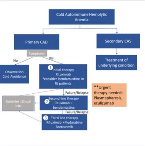 Treatment Algorithm For Cold Agglutinin Disease Download Scientific