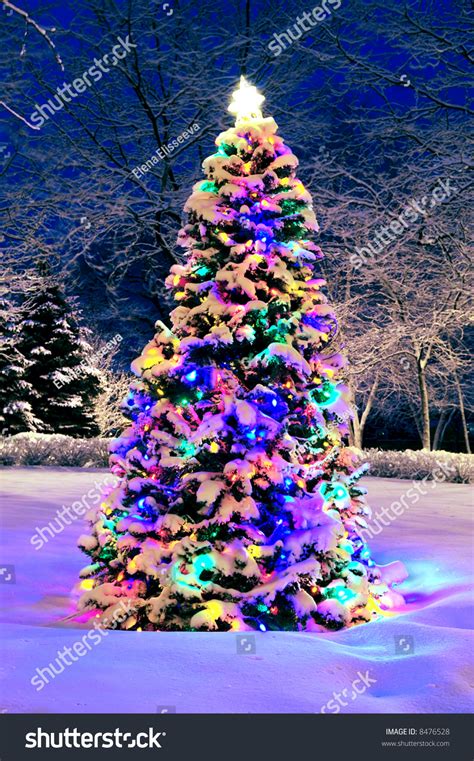Decorated Christmas Tree Outside With Lights Covered With