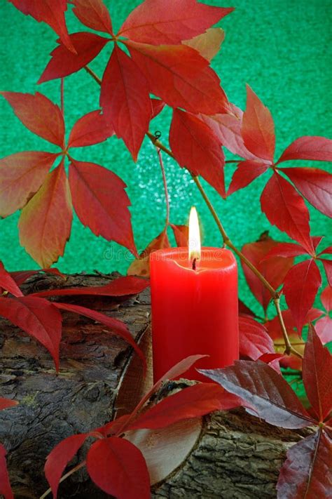 Autumn Candle Stock Photo Image Of Autumnal Burn Group 34296480
