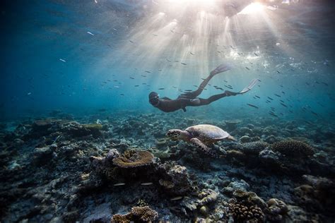 Freediving Photography — One Ocean One Breath