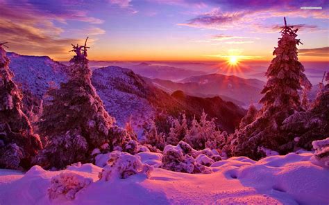 Wallpapersa85sunset Sun Tree Mountain Snow