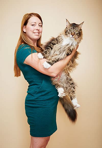 Video Meet Ludo The Longest Cat In The World Guinness World Records