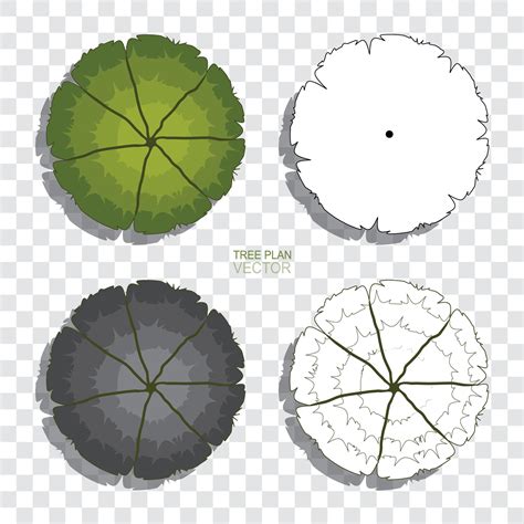 Tree Plan Abstract Drawing Sketch Set For Landscape Design Vector