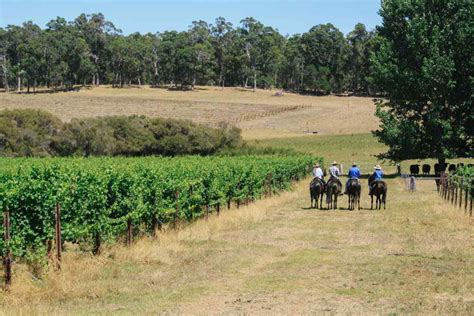 From jamaica to oxfordshire, whether you are a keen novice or a seasoned eventer, there is an equestrian adventure to suit all saddle up for the ride of your life: The Margaret River Ride | Horse Riding Holidays and Safaris