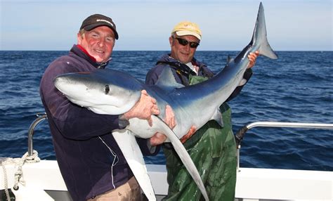 Ive Caught A Shark Angler Reels In 170lb Monster Off Pembrokeshire Coast Daily Mail Online