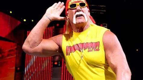 Hulk Hogan Says He Should Apologize To All Wrestlers Before Returning