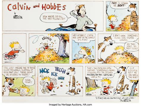 Calvin And Hobbes Color