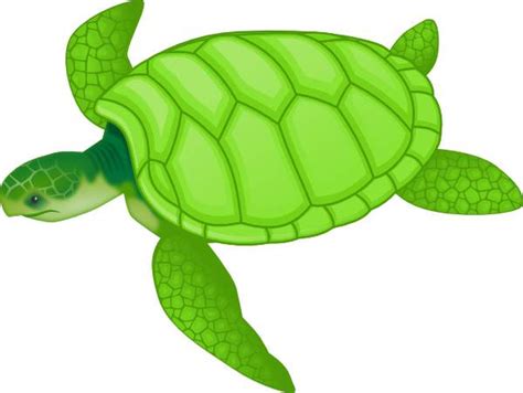Cute Turtle Clip Art Free Clipart Images 2 Clipartix