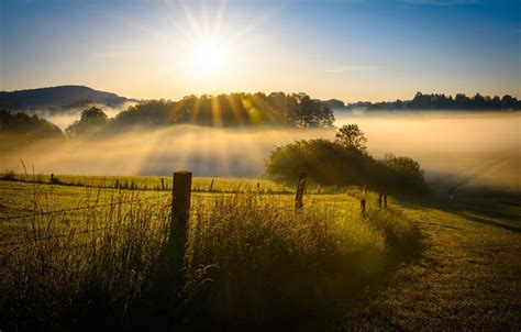 Morning Sun Rays With Fog Wallpaper 30 Wallpapers Adorable Wallpapers