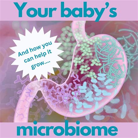 Your New Babys Microbiome — Lushtums