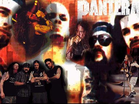 Pantera Pantera Wallpaper 584026 Fanpop