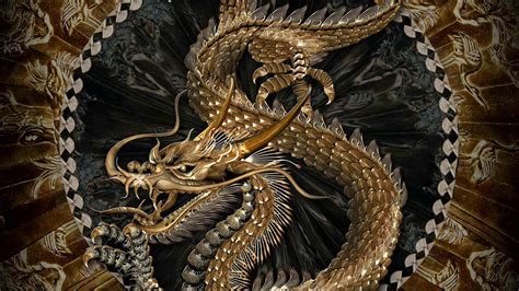 Dragon Hd Wallpapers 1080p Wallpapersafari