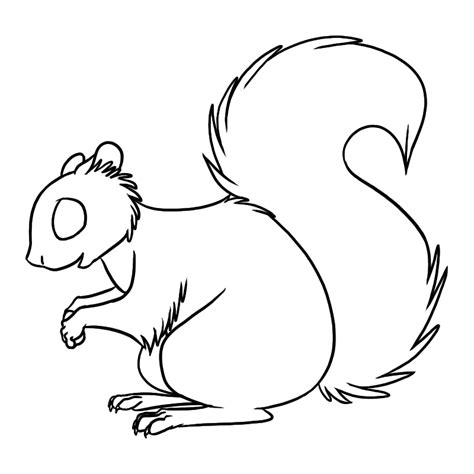 Line Drawing Squirrel At Getdrawings Free Download