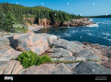 A View Of Monument Cove From The Ocean Path Trail In Acadia National
