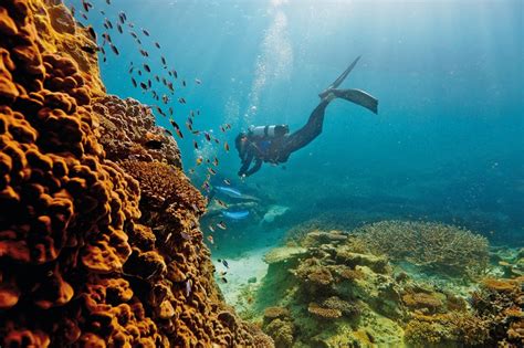 Guide To Great Barrier Reef Tourism Australia