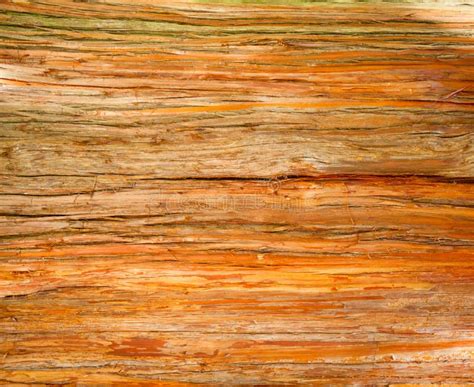 Rustic Wood Surface Stock Image Image Of Detail Close 42709491