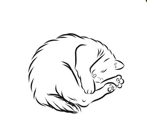 Sketch Cat Curled Up Drawing Img Wut