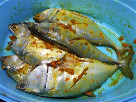 Resepi 1 kilo ikan tempoyak club. IKAN KEMBUNG GORENG GARING & SAMBAL HIJAU | Fiza's Cooking