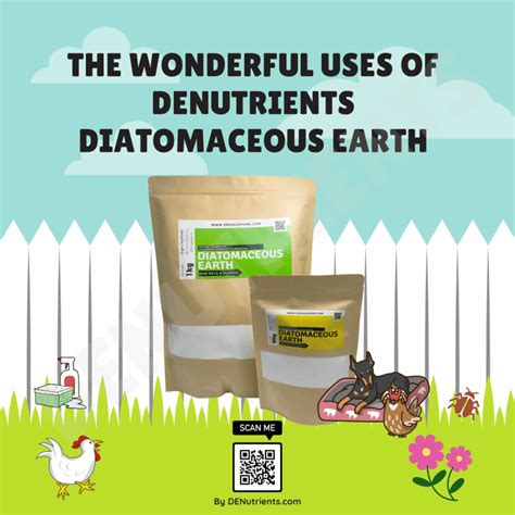 The Wonderful Uses Of Diatomaceous Earth Infographic Guide Denutrients Diatomaceous Earth