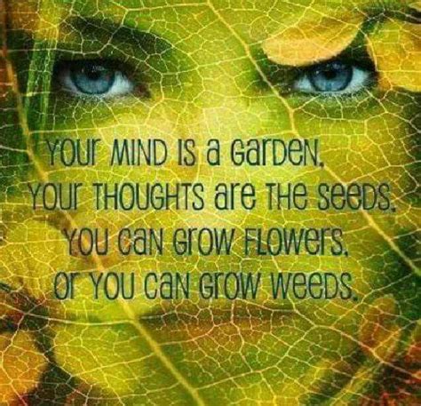 Your Mind Is A Garden Your Thoughts Are The Seeds You Can Grow