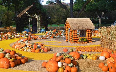 See a fabulous display of pumpkins, gourds and squash at the dallas arboretum now through november 22nd, 2017. 2017 in Review: Lessons for an Even Better 2018 - Dallas ...