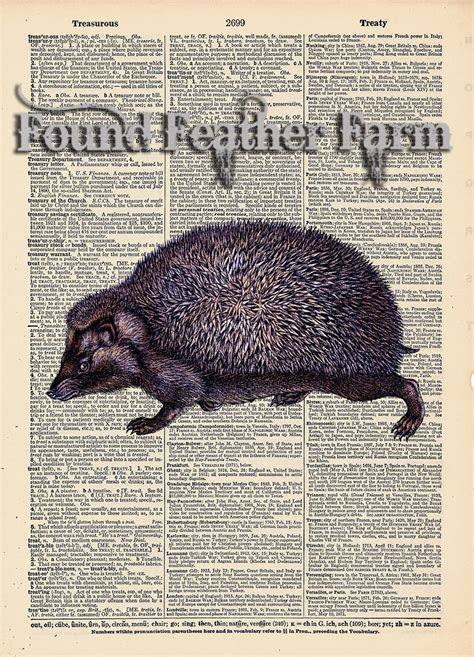 Vintage Antique Dictionary Page With Antique Print English Hedgehog