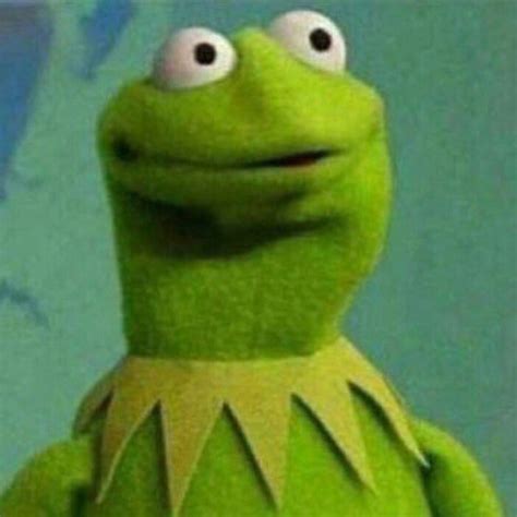 Funny Kermit Memes Memes Funny Faces Stitch And Pikachu Sapo Kermit