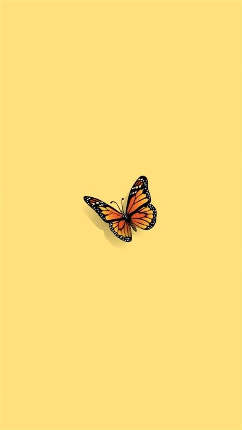 Butterfly Aesthetic Wallpaper NawPic