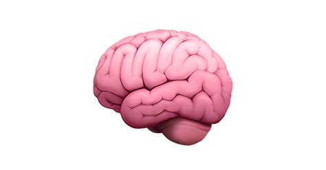 🧠 Cérebro Emoji — Significado Copiar E Colar Combinações