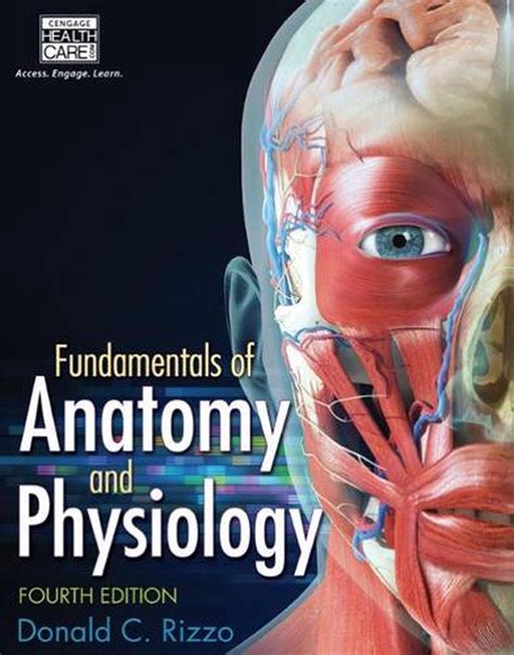 Fundamentals Of Anatomy And Physiology 4th Edition By Donald Rizzo