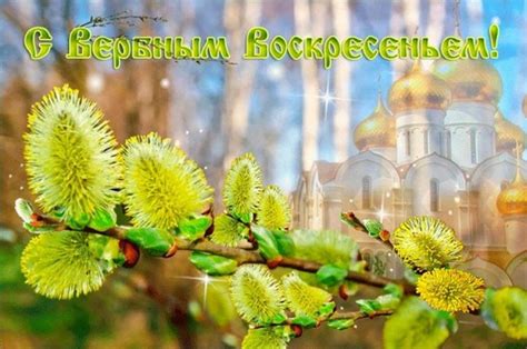 Иисус не случайно въехал в иерусалим именно на осле. Вербное воскресенье 2020 - что нельзя делать, поздравления ...