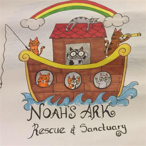 Noahs Ark Cat Rescue And Sanctuary Caring For Disabled Abused