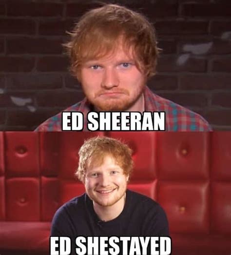 20 Ed Sheeran Memes With Cat