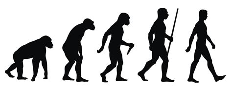 Top 196 Evolucion Del Hombre En Dibujos Ginformatemx