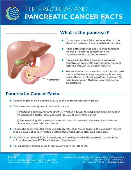 Pancreatic Cancer Facts Hirshberg Foundation For Pancreatic Cancer