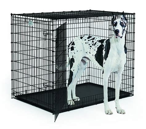 Buy Midwest Homes For Pets Xxl Giant Dog Crate 54 Inch Long Ginormous