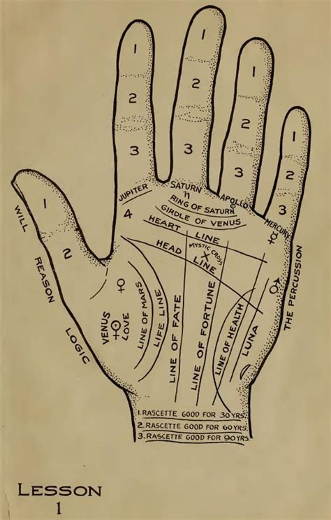 Lessons In Palmistry Fully Illustrated With Full Page Palms Learn