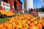 13 fun things to do this weekend in Upstate NY: October 23-25 ...
