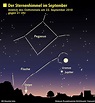 Jupiter leuchtet die ganze Nacht - Panorama - Badische Zeitung