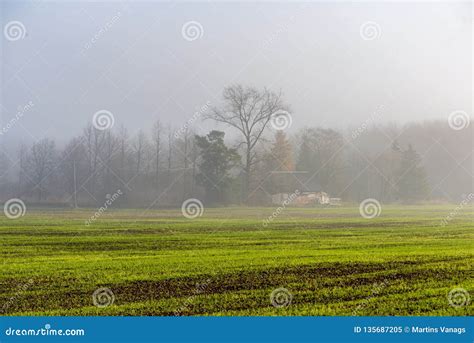 Morning Mist Fog Over Meadows Stock Image Image Of Tones Sunset