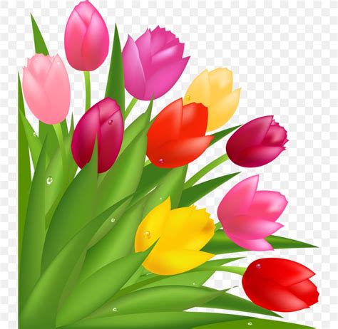 Flower Bouquet Tulip Mothers Day Clip Art Png 731x800px Flower