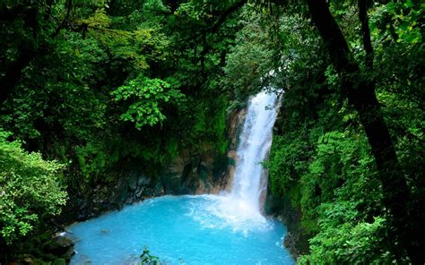 Waterfall Trees Nature Water Clear Water Cyan Green Forest Wet