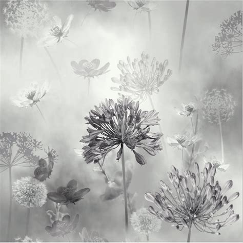 Dandelion Wallpaper Grey See More Ideas About Grey Wallpaper