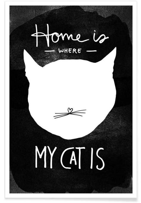 Cat Poster Juniqe