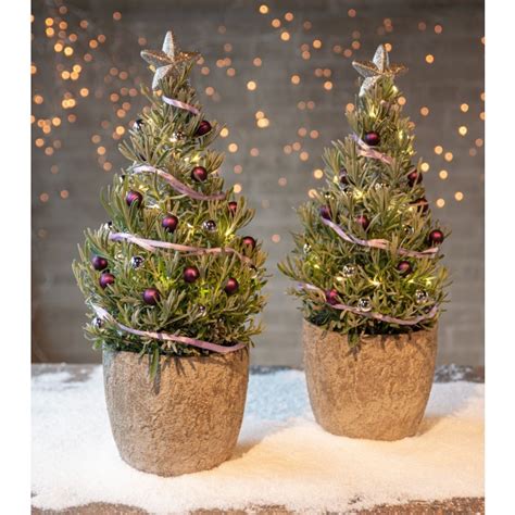 Pair Of Lavender Christmas Trees